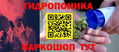 молекула духа Шахты