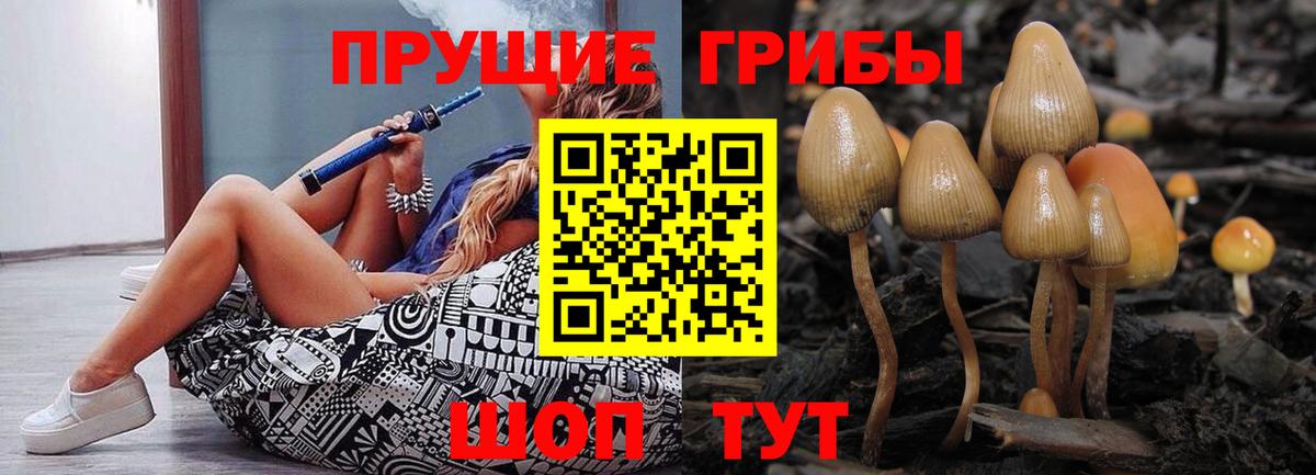 Благодарный  Псилоцибиновые грибы мицелий  Вход с VPN 